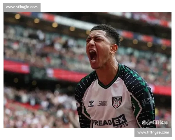 前英超裁判发声:桑德兰绝杀球越位应取消 前英超裁判发声:桑德兰绝杀球越位应取消